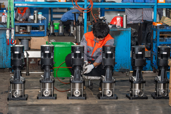 Stamped Pump15