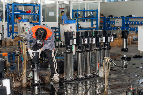 Stamped Pump16