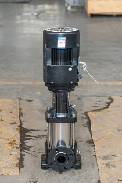 Stamped Pump19