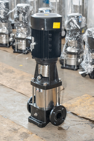 Stamped Pump20