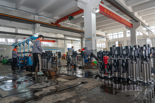 Stamped Pump5
