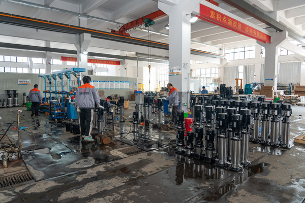 Stamped Pump6